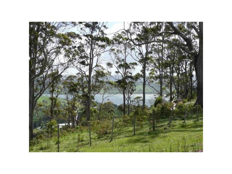 5a Alpine Crescent, Grindelwald TAS 7277