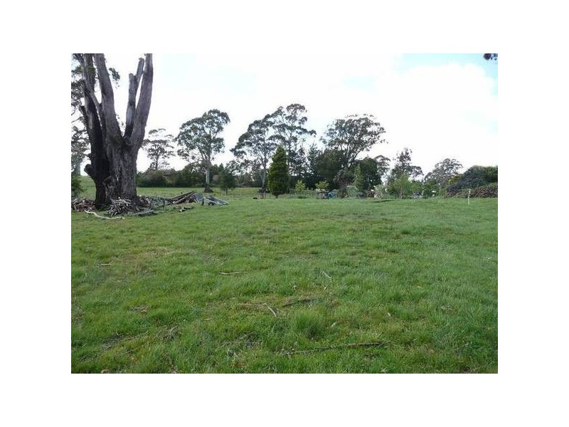 5a Alpine Crescent, Grindelwald TAS 7277