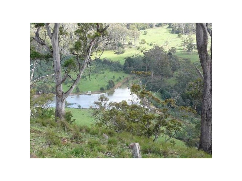 5a Alpine Crescent, Grindelwald TAS 7277