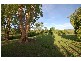 951. Pipers River Rd., Turners Marsh TAS 7267