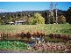 951. Pipers River Rd., Turners Marsh TAS 7267