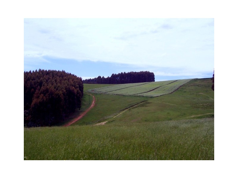 46 Chuggs Road, Forth TAS 7310