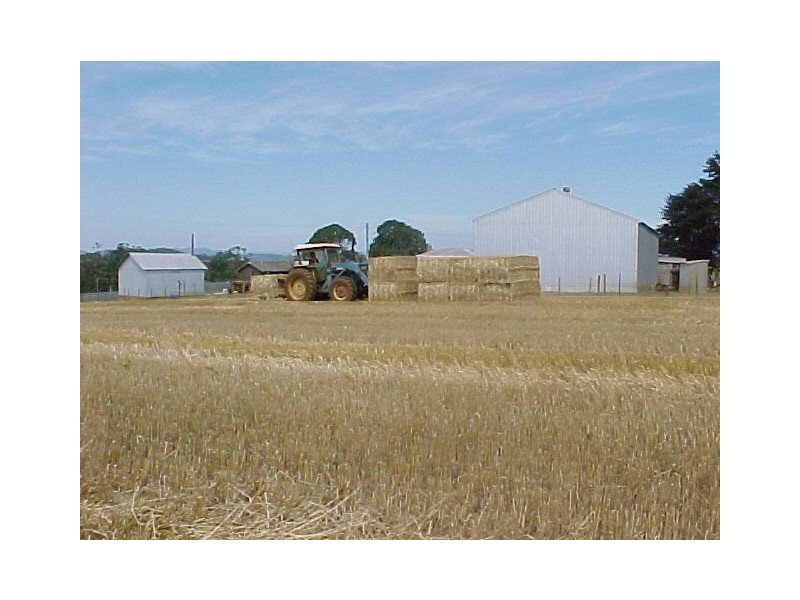 46 Chuggs Road, Forth TAS 7310