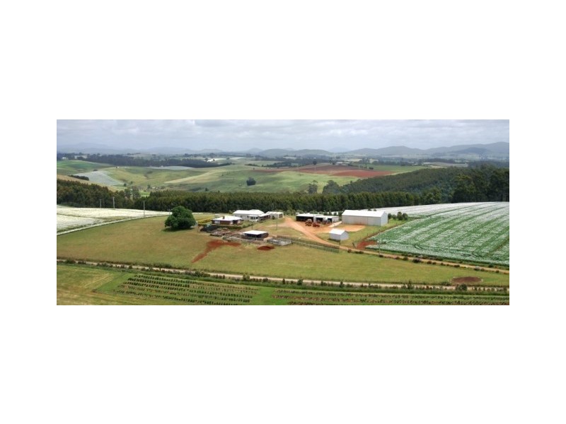 46 Chuggs Road, Forth TAS 7310