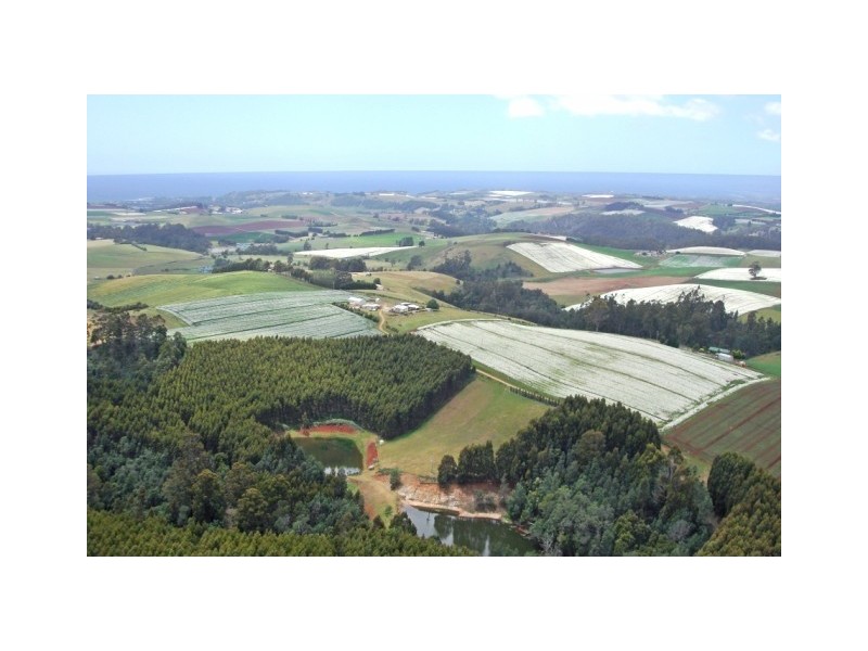 46 Chuggs Road, Forth TAS 7310