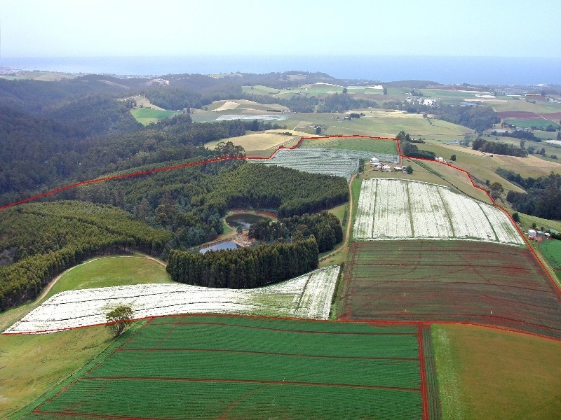 46 Chuggs Road, Forth TAS 7310