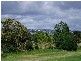 87 Conway Street, Mowbray TAS 7248