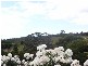 8 Meika Court, Swan Bay TAS 7252