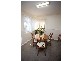 52 Mary Street, George Town TAS 7253