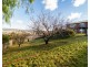 3 Monet Place, Newnham TAS 7248