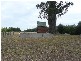 516. Golconda Road., Lilydale TAS 7268