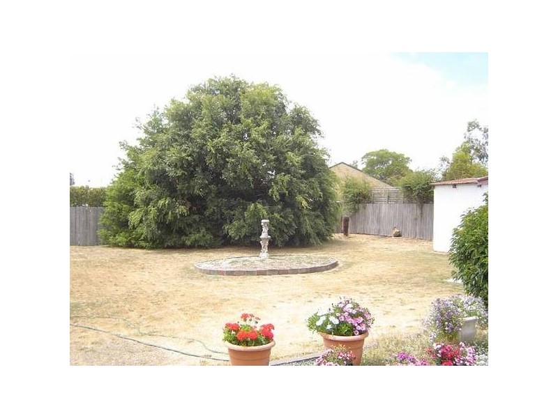 7. Main Road., Perth TAS 7300