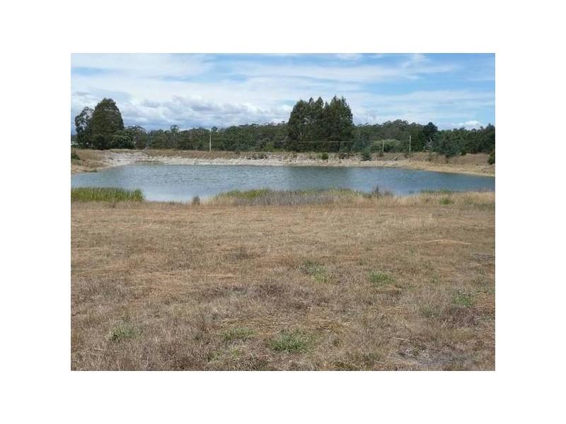 1. Dally Street., Beaconsfield TAS 7270