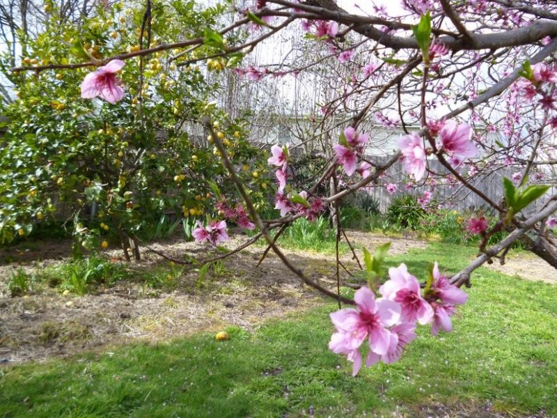 43 Galvin Street, South Launceston TAS 7249