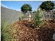 4 Integrity Drive, Youngtown TAS 7249