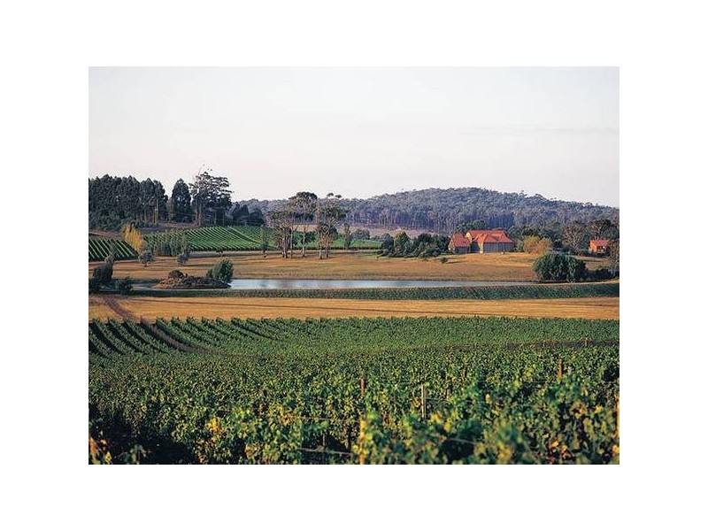 2. Flinders Lane., Bridport TAS 7262