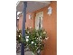 10b.. Collins St., Evandale TAS 7212
