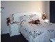 10b.. Collins St., Evandale TAS 7212