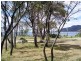 30 Weily Avenue, Bicheno TAS 7215