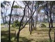 30 Weily Avenue, Bicheno TAS 7215
