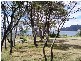30. Weily Avenue., Bicheno TAS 7215
