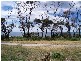 30. Weily Avenue., Bicheno TAS 7215