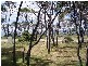 30. Weily Avenue., Bicheno TAS 7215
