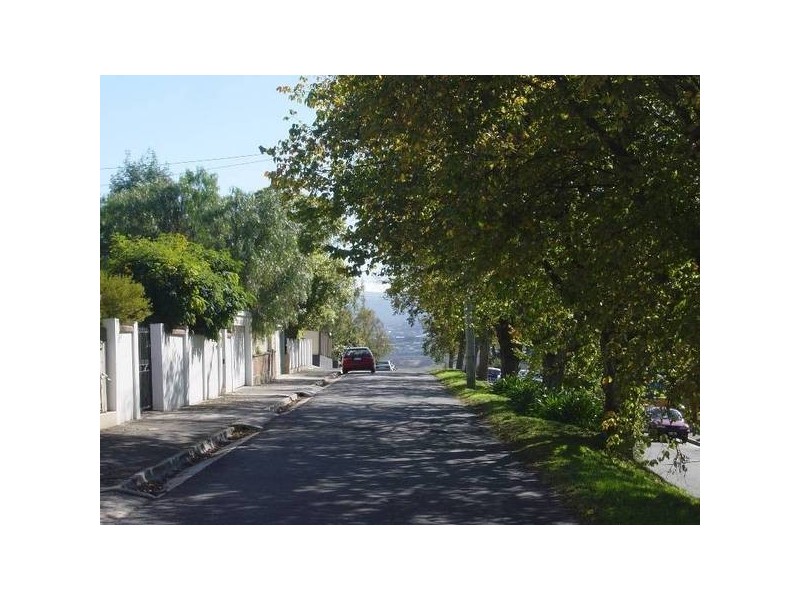 60 Lyttleton Street., East Launceston TAS 7250