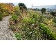 4 Daitom Place, Trevallyn TAS 7250