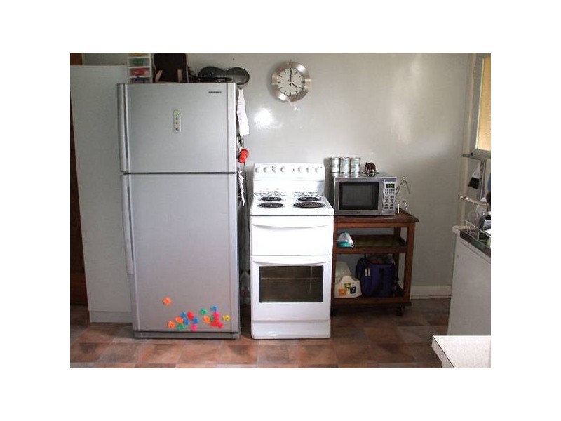 31 Punchbowl Road, Punchbowl TAS 7249