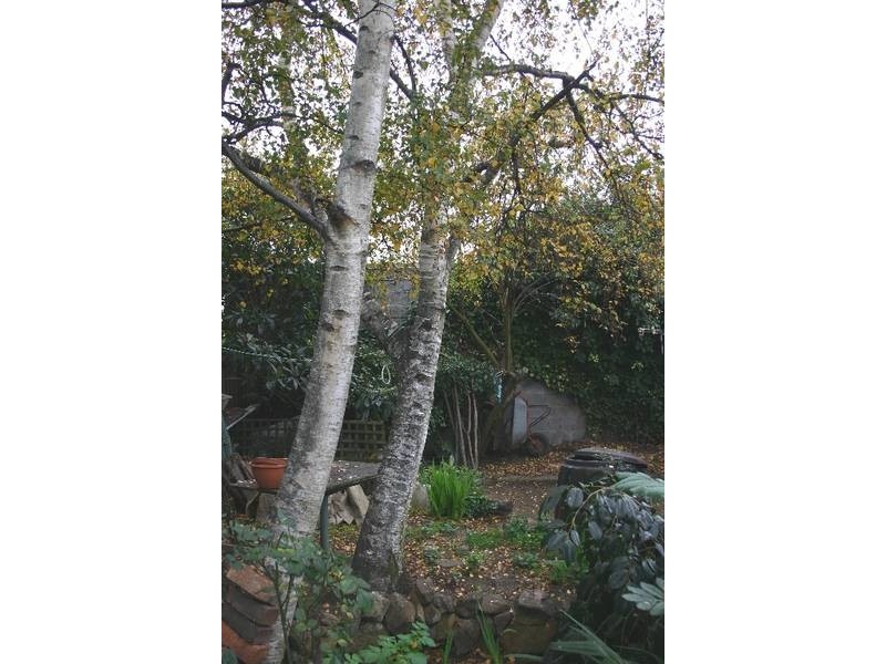 16 Doolan Street, Invermay TAS 7248