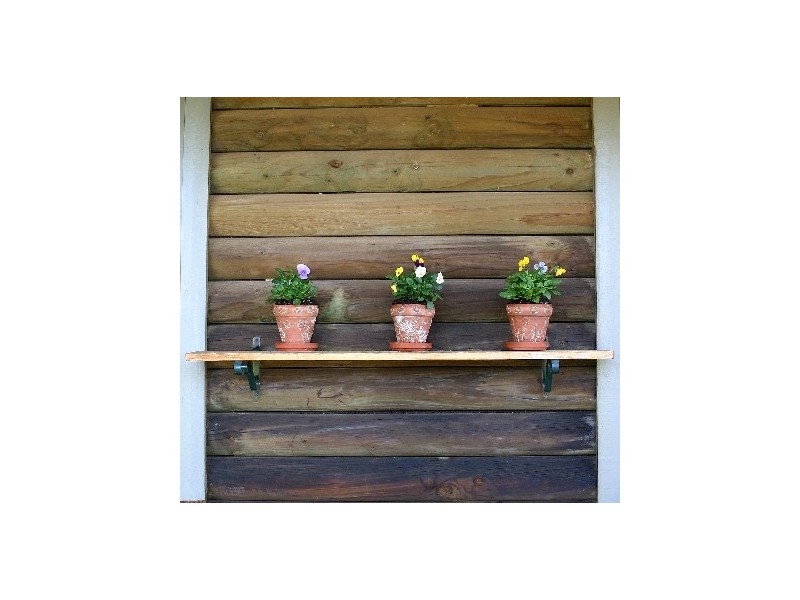 93 Catherine Street, Longford TAS 7301