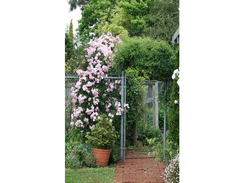 93 Catherine Street, Longford TAS 7301