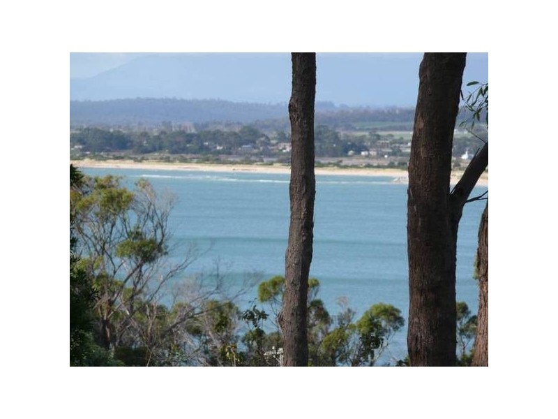 116 Westwood Street, Bridport TAS 7262