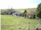 934 Pipers River Road, Turners Marsh TAS 7267