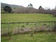 934 Pipers River Road, Turners Marsh TAS 7267