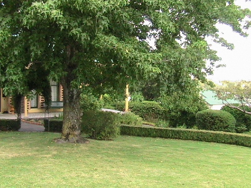 238 Invermay Road, Mowbray TAS 7248