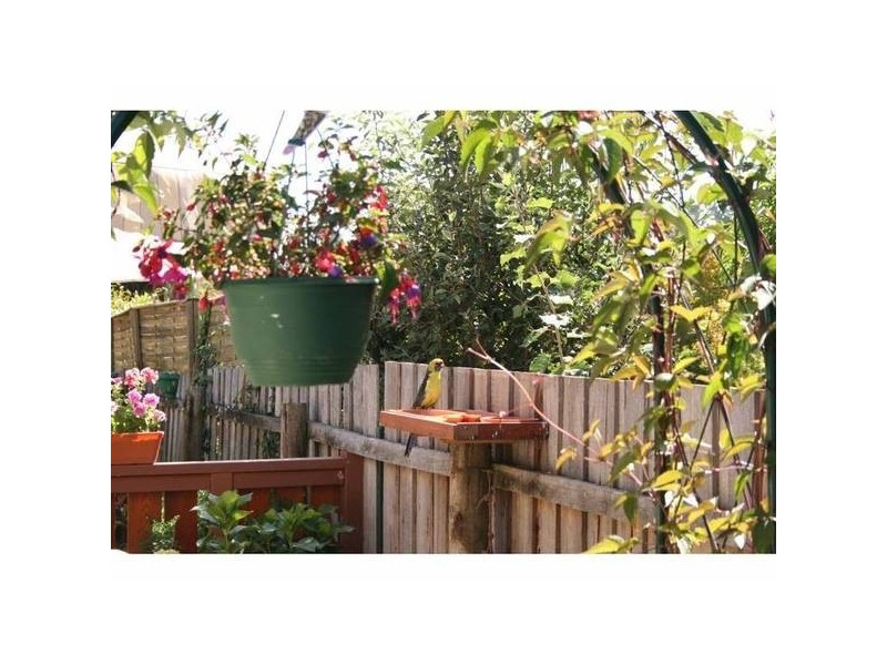 8/ Leisure Gardens Estate, Waldhorn Drive, Grindelwald TAS 7277