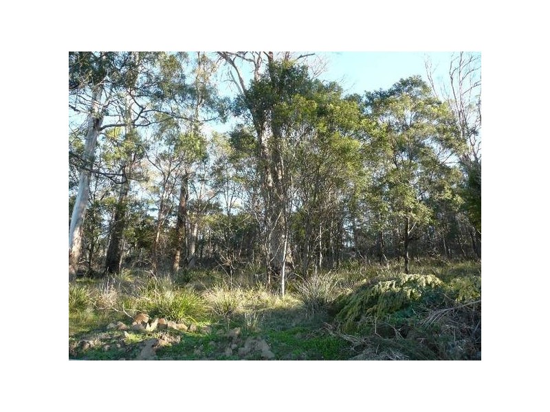 93 New World Avenue, Trevallyn TAS 7250