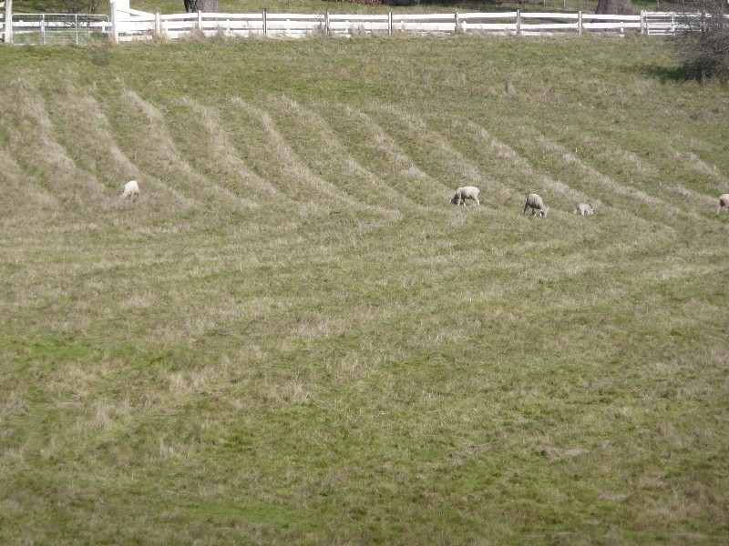 6 Mountain View Crescent, Grindelwald TAS 7277