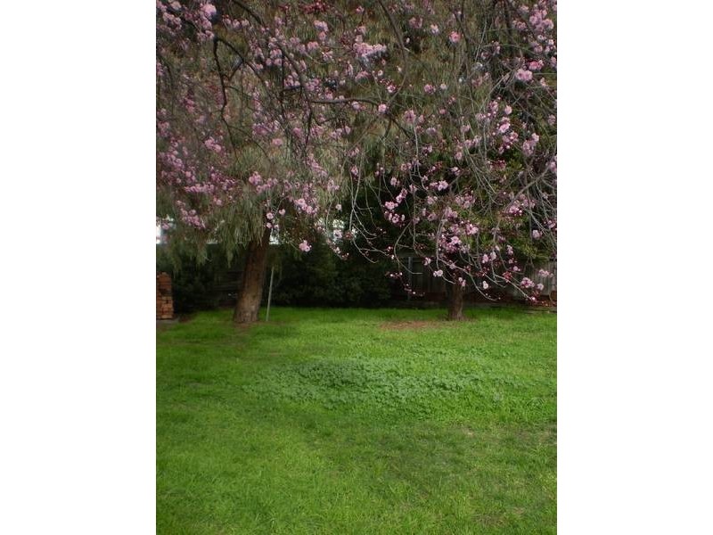 3 Heather Street, South Launceston TAS 7249
