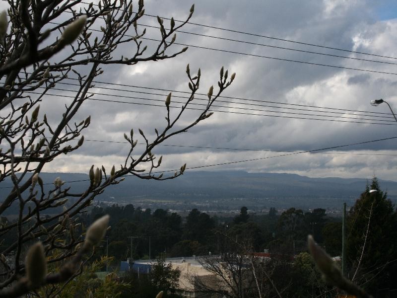 293 West Tamar Road, Riverside TAS 7250