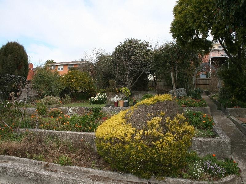293 West Tamar Road, Riverside TAS 7250