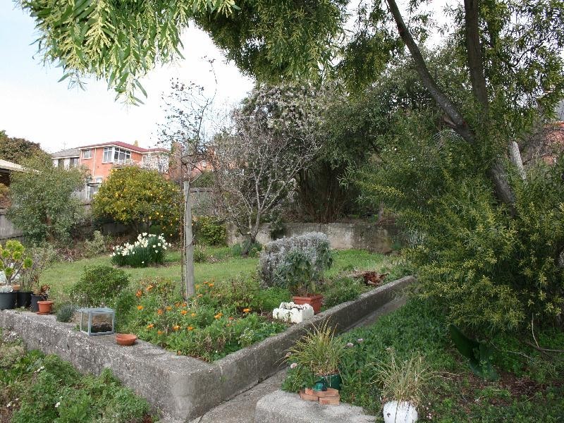 293 West Tamar Road, Riverside TAS 7250