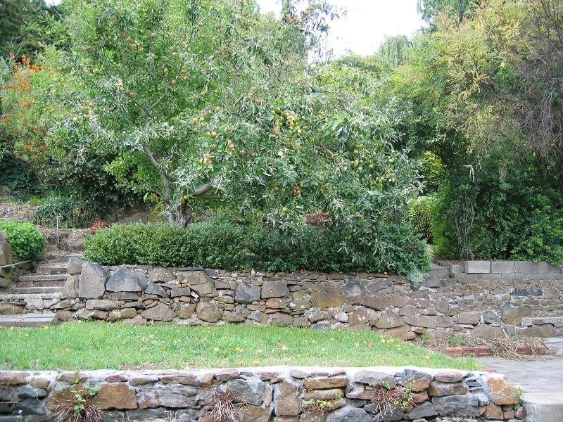 45 West Tamar Road, Trevallyn TAS 7250