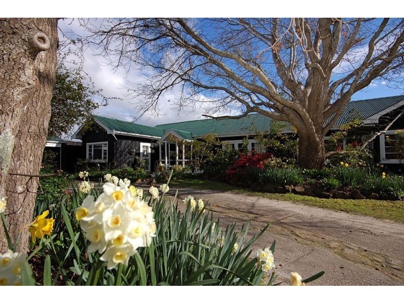 8 Norwood Avenue, Launceston TAS 7250