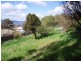1 Outram Street, West Launceston TAS 7250