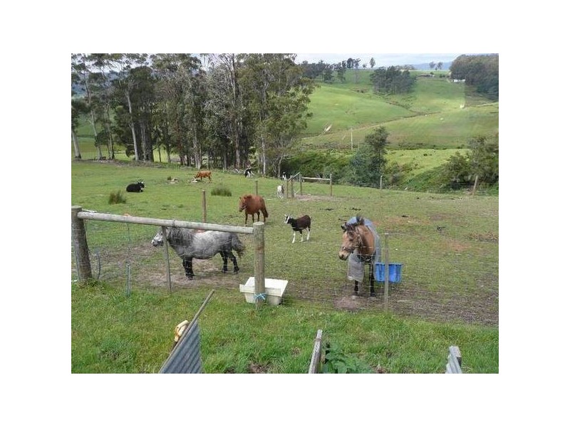 327 Rowleys Hill Road, Karoola TAS 7267