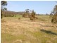 853 Logan Road, Evandale TAS 7212