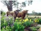 853 Logan Road, Evandale TAS 7212